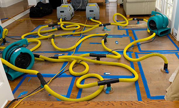 Professional Structural Drying And Dehumidification technician working in Pottstown, PA